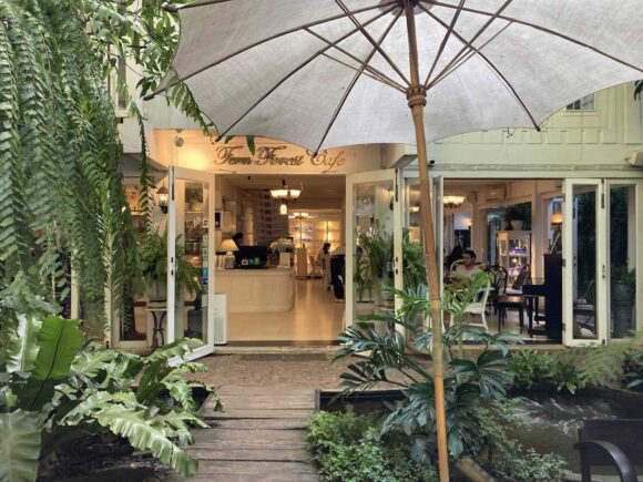 Fern Forest Cafe(ファーン フォレスト カフェ)の行き方や営業時間・定休日・注意点