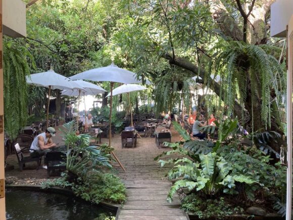 Fern Forest Cafe(ファーン フォレスト カフェ)の行き方や営業時間・定休日・注意点