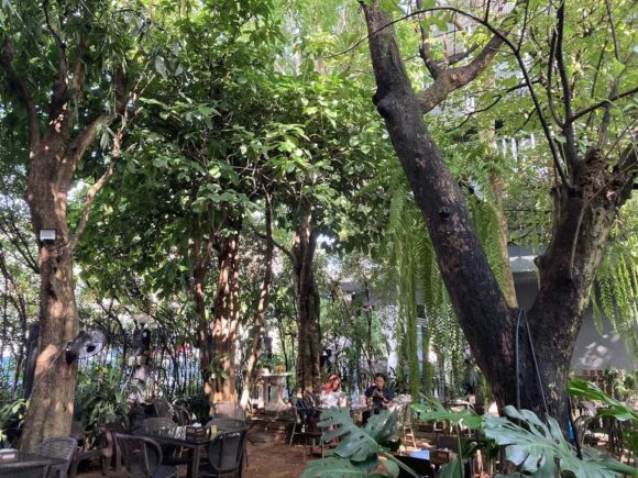 Fern Forest Cafe(ファーン フォレスト カフェ)の行き方や営業時間・定休日・注意点