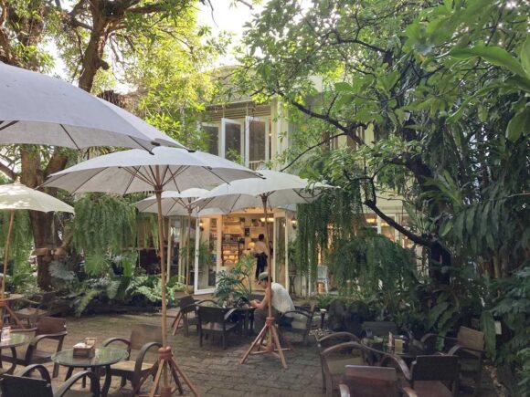 Fern Forest Cafe(ファーン フォレスト カフェ)の行き方や営業時間・定休日・注意点
