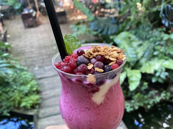 Fern Forest Cafe(ファーン フォレスト カフェ)おすすめメニュー&ドリンク