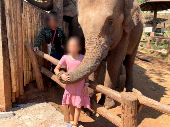 エレフィンファーム(Elefin Farm & Cafe)のおすすめ楽しみ方