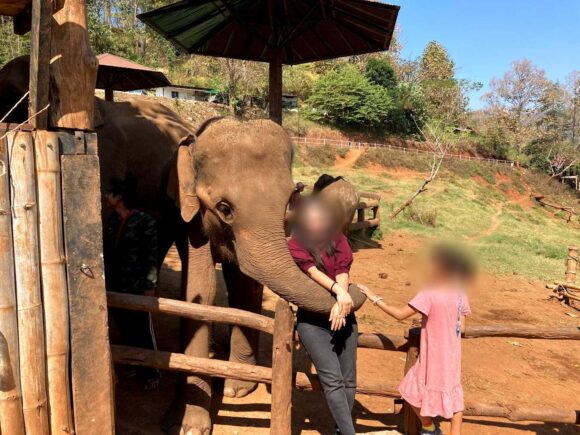 エレフィンファーム(Elefin Farm & Cafe)のおすすめ楽しみ方