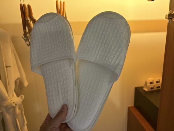 デュシットプリンセス チェンマイの客室レビュー(Deluxe 2 Doubles)