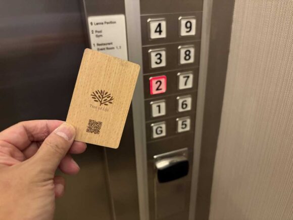 デュシットプリンセス チェンマイのプール