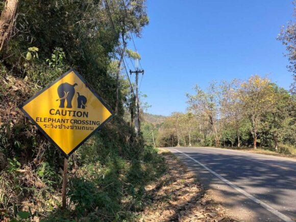 エレフィンファーム(Elefin Farm & Cafe)のおすすめ行き方アクセスや営業時間・定休日・駐車場