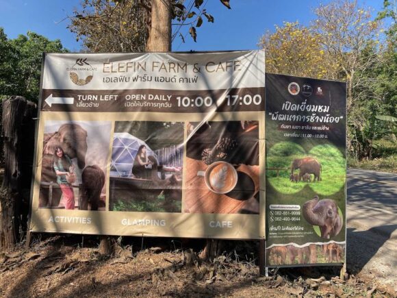 エレフィンファーム(Elefin Farm & Cafe)のおすすめ行き方アクセスや営業時間・定休日・駐車場