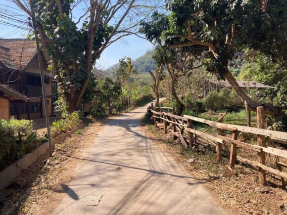 エレフィンファーム(Elefin Farm & Cafe)のおすすめ行き方アクセスや営業時間・定休日・駐車場