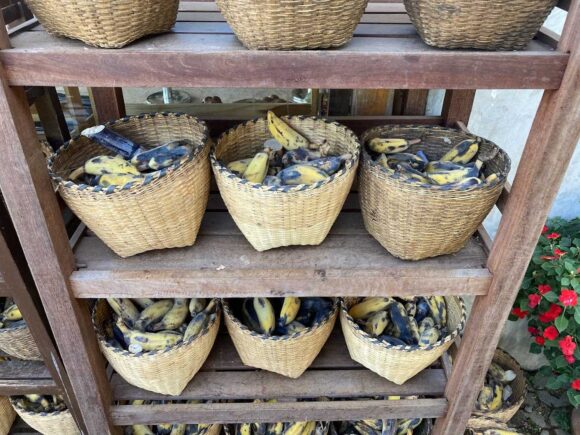 エレフィンファーム(Elefin Farm & Cafe)のおすすめ楽しみ方②ゾウにえさやり