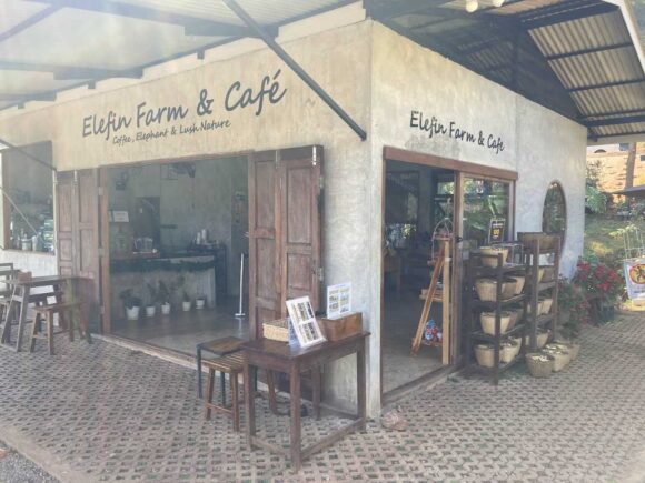 エレフィンファーム(Elefin Farm & Cafe)のおすすめ楽しみ方②ゾウにえさやり