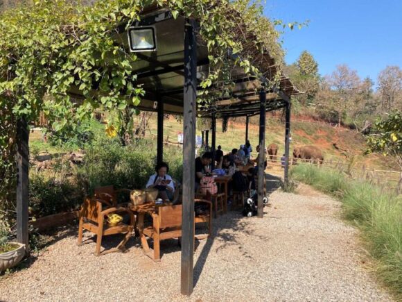 エレフィンファーム(Elefin Farm & Cafe)のおすすめ楽しみ方④カフェで食事&映え写真撮影