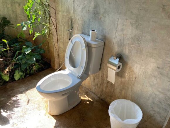 エレフィンファーム(Elefin Farm & Cafe)のおすすめ楽しみ方④カフェで食事&映え写真撮影