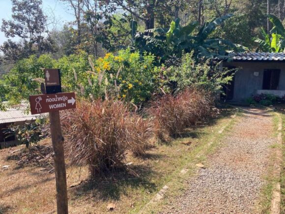 エレフィンファーム(Elefin Farm & Cafe)のおすすめ楽しみ方④カフェで食事&映え写真撮影