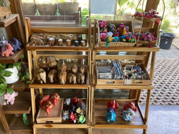 エレフィンファーム(Elefin Farm & Cafe)のおすすめ楽しみ方④カフェで食事&映え写真撮影