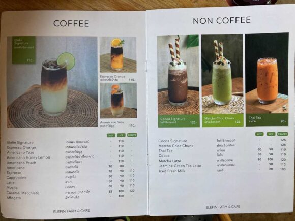 エレフィンファーム(Elefin Farm & Cafe)のおすすめ楽しみ方④カフェで食事&映え写真撮影