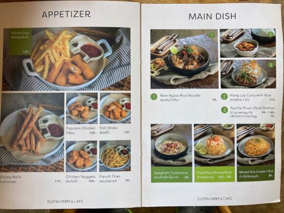 エレフィンファーム(Elefin Farm & Cafe)のおすすめ楽しみ方④カフェで食事&映え写真撮影