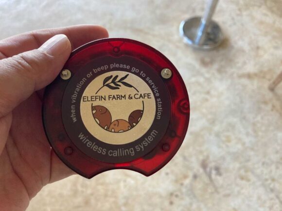 エレフィンファーム(Elefin Farm & Cafe)のおすすめ楽しみ方④カフェで食事&映え写真撮影