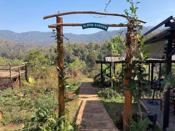 エレフィンファーム(Elefin Farm & Cafe)のおすすめ楽しみ方④カフェで食事&映え写真撮影