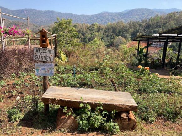 エレフィンファーム(Elefin Farm & Cafe)のおすすめ楽しみ方④カフェで食事&映え写真撮影