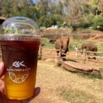 エレフィンファーム（Elefin Farm & Cafe）のおすすめ楽しみ方④カフェで食事＆映え写真撮影