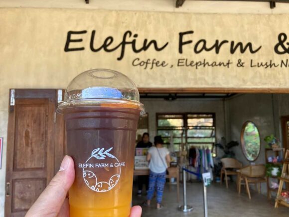 エレフィンファーム(Elefin Farm & Cafe)のおすすめ楽しみ方④カフェで食事&映え写真撮影