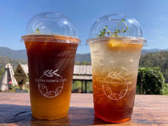 エレフィンファーム(Elefin Farm & Cafe)のおすすめ楽しみ方④カフェで食事&映え写真撮影