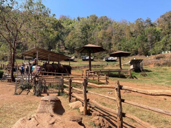 エレフィンファーム(Elefin Farm & Cafe)のおすすめ楽しみ方