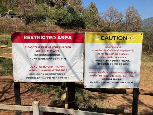 「エレフィンファーム(Elefin Farm & Cafe)」おすすめまとめ