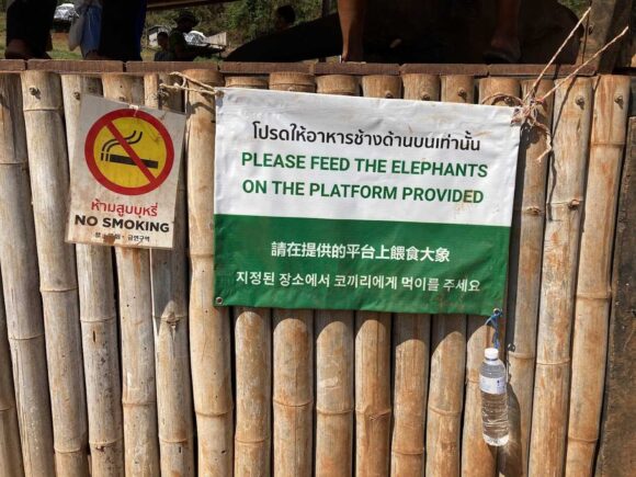 「エレフィンファーム(Elefin Farm & Cafe)」おすすめまとめ