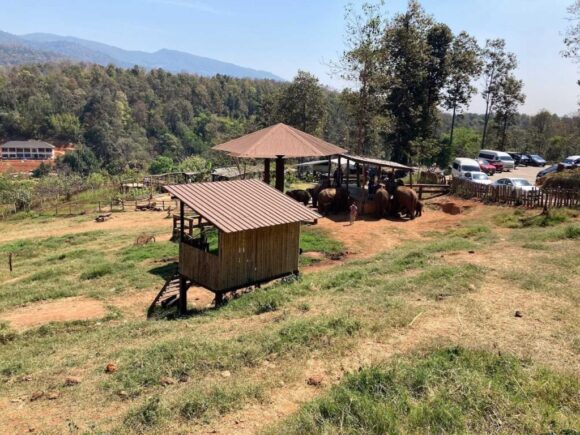 エレフィンファーム(Elefin Farm & Cafe)のおすすめ行き方アクセスや営業時間・定休日・駐車場