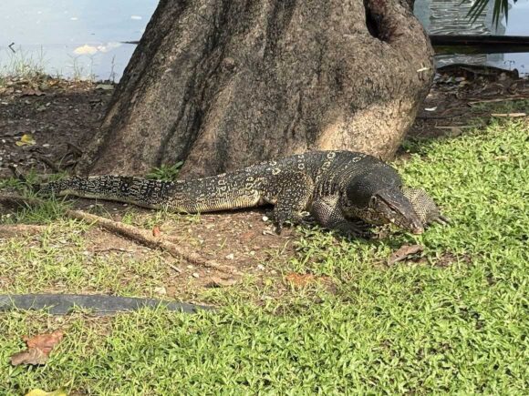 Le Meridien Bangkok周辺のおすすめスポットや見どころ