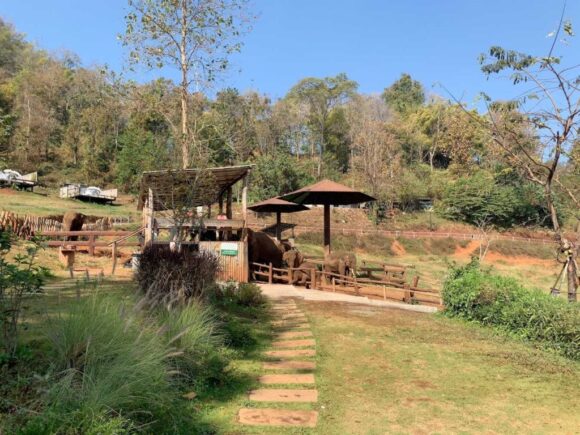 エレフィンファーム(Elefin Farm & Cafe)のおすすめ楽しみ方