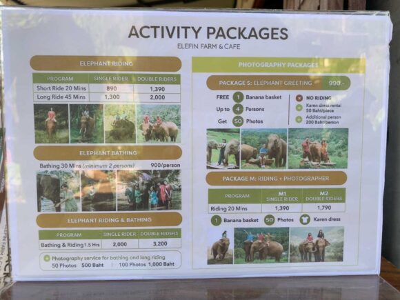 エレフィンファーム(Elefin Farm & Cafe)のおすすめ楽しみ方③ゾウに乗ろう(エレファントライド)